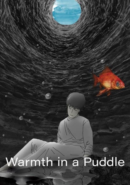 Warmth in a Puddle