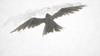 Karasu (PV)