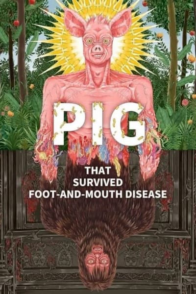 Pig That Survived Foot-and-Mouth Disease