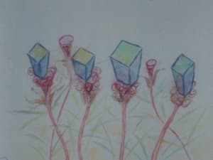 Shizen wo Korosu Kikai