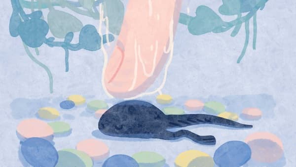 To the Moon and Back