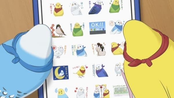 Parakeet Colors Line Stamp Promotion