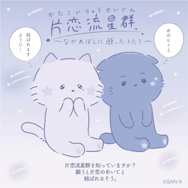 Katakoi Meteor Shower