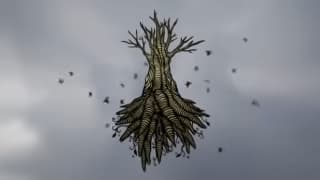 Shiori feat. Shing02