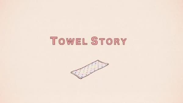 Towel Story