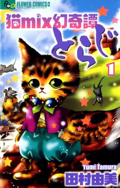 A Cat Mix's Illusory Tale: Toraji