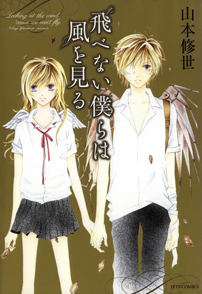 Looking at the Wind 'Cause We Can't Fly