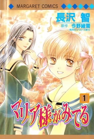 The Virgin Mary is Watching