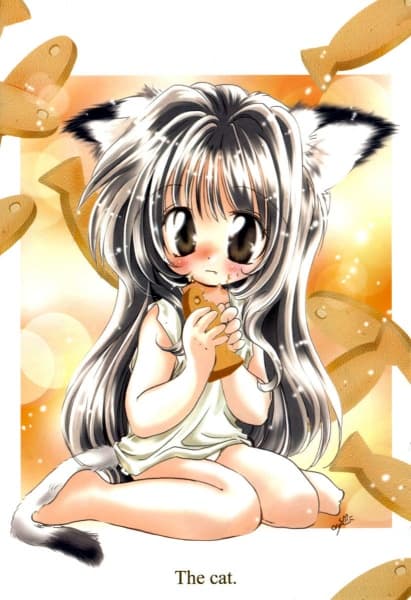 The Kitten Reading Book