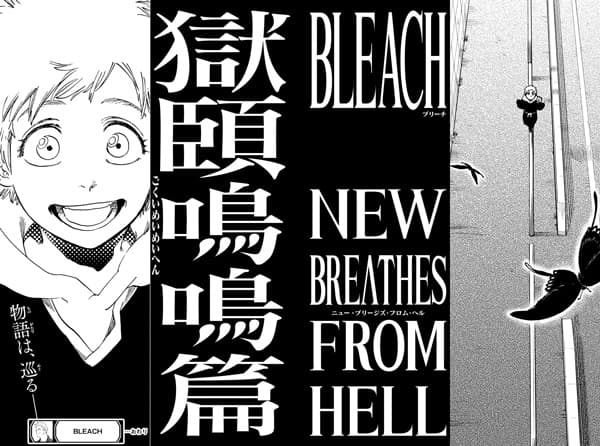 Bleach: Special One-shot