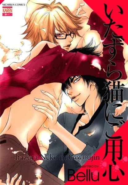 Beware of the Mischievous Cat