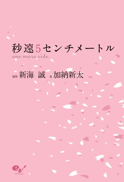 5 Centimeters per Second: One More Side