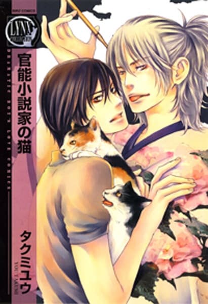 The Erotic Novelist’s Cat