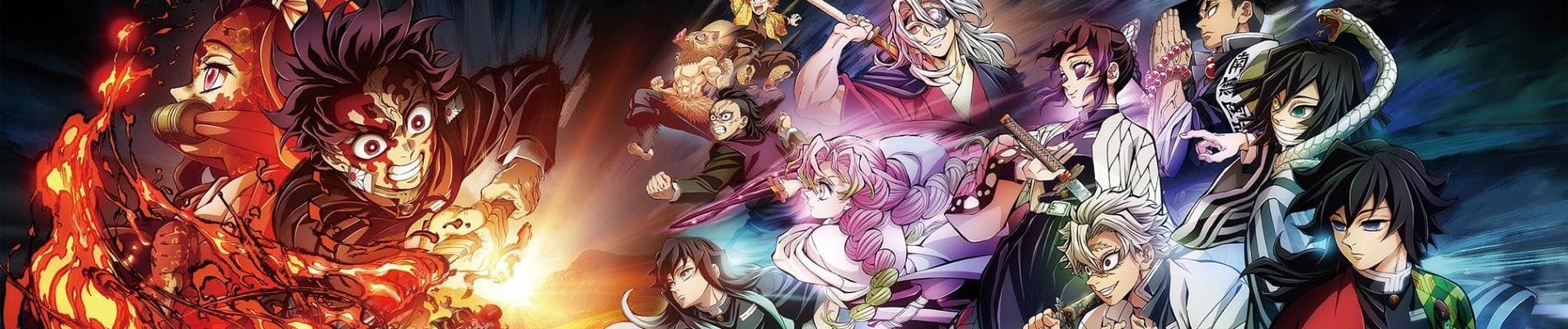 Demon Slayer: Hashira Training Arc