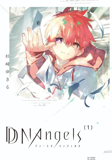 DDNAngels