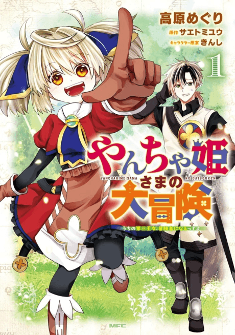 Yancha Hime-sama no Daibouken: Uchi no Daisan Oujo, Boukensha ni Narutte yo