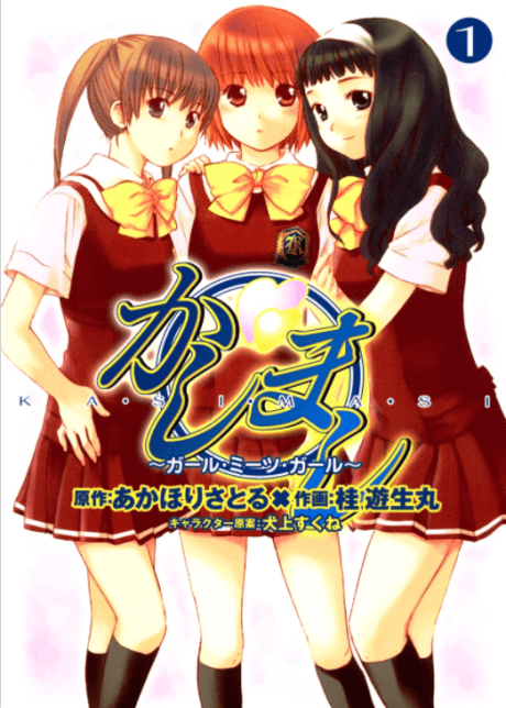Kashimashi: Girl Meets Girl