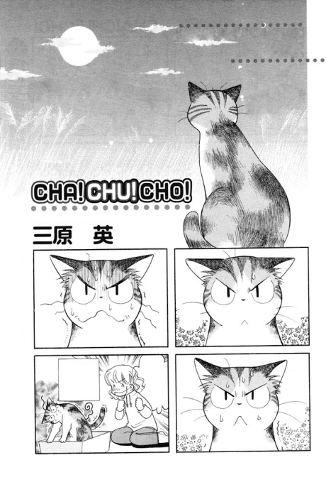 Cha Chu Cho